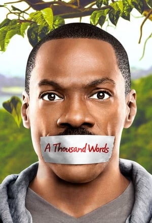 A Thousand Words (2012) Hindi Dual Audio [800MB] Movie Poster