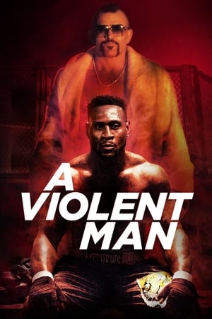 A Violent Man 2017 Hindi Dual Audio 330MB Movie Poster