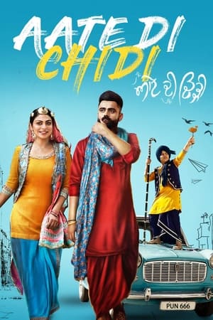 Aate di chidi (2018) Punjabi Movie - [400MB] Movie Poster