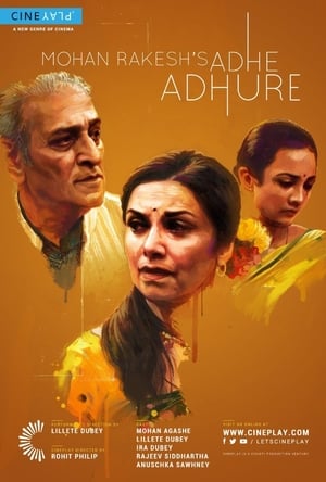 Adhe Adhure 2017 Full Movie [880MB] Download Movie Poster