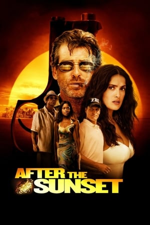 After The Sunset (2004) Hindi Dual Audio 320MB Movie Poster