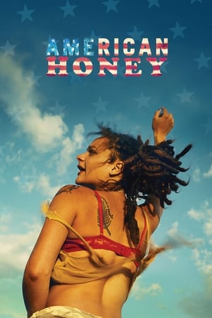 American Honey (2016) Hindi Dual Audio 500MB Movie Poster