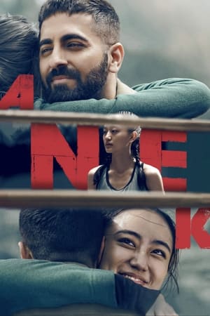 Anek 2022 Hindi Movie – Movie Poster