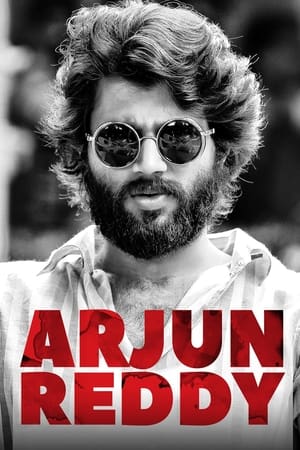 Arjun Reddy (2017) Dual Audio (Hindi ,Telugu) [1.4GB] Movie Poster