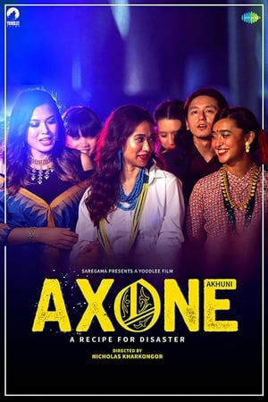 Axone 2019 Hindi Movie [790MB] Movie Poster