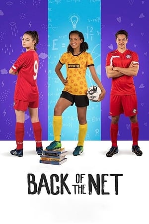 Back of the Net (2019) Hindi Dual Audio 300MB Movie Poster