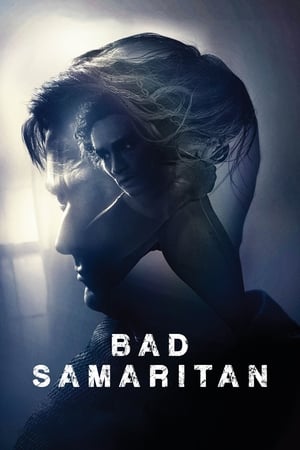 Bad Samaritan (2018) Hindi Dual Audio [1GB] Movie Poster