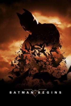 Batman Begins (2005) Hindi Dual Audio [980MB] Download Movie Poster