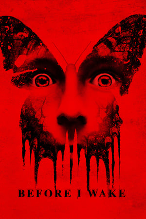 Before I Wake (2016) Hindi Dual Audio [900MB] Movie Poster