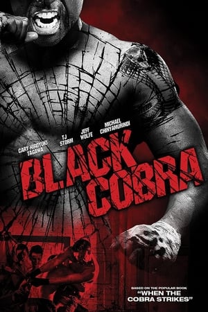 Black Cobra (2012) Hindi Dual Audio [830MB] Movie Poster