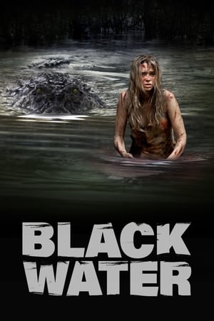 Black Water (2007) Hindi Dual Audio [1GB] Movie Poster