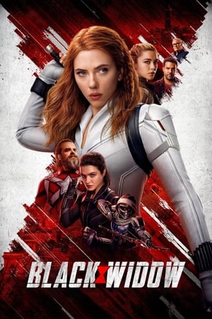 Black Widow (2021) Hindi Dual Audio [1.2GB] Movie Poster