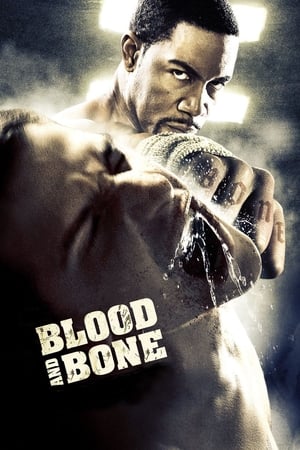 Blood and Bone (2009) Hindi Dual Audio 300MB Movie Poster