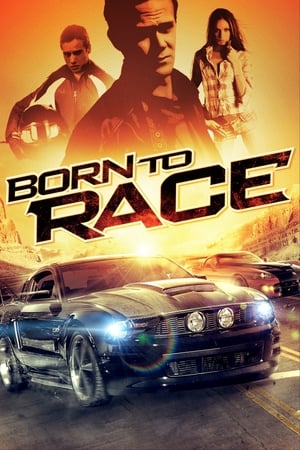 Born to Race 2011 Hindi Dual Audio [610MB] Movie Poster