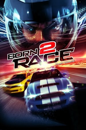 Born to Race Fast Track 2014 Hindi Dual Audio [840MB] Movie Poster