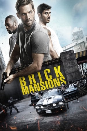 Brick Mansions (2014) Hindi Dual Audio [950MB] Movie Poster