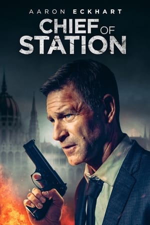 Chief of Station 2024 Hindi Dual Audio – 720p – Movie Poster