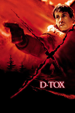 D-Tox Eye See You 2002 Hindi Dual Audio [700MB] Movie Poster