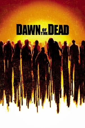 Dawn of the Dead (2004) Hindi Dual Audio Movie - 1GB Movie Poster