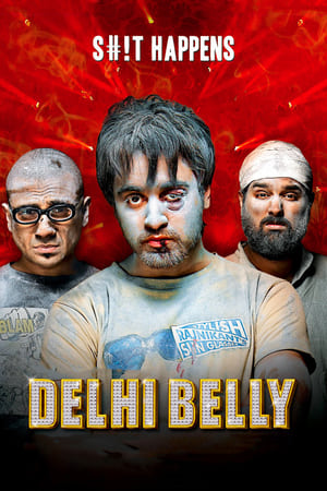 Delhi Belly 2011 Full Movie Download [750MB]