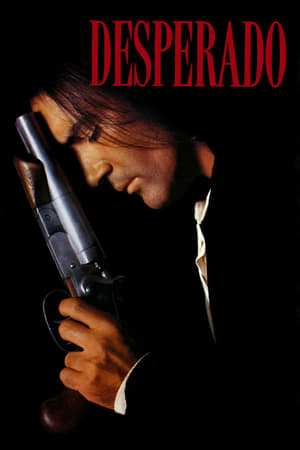 Desperado 1995 Hindi Dual Audio [870MB] Movie Poster