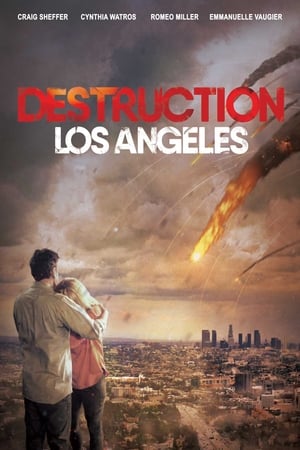 Destruction Los Angeles (2017) Hindi Dual Audio 300MB Movie Poster