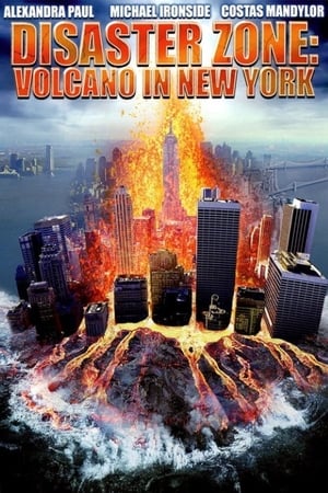 Disaster Zone Volcano in New York 2006 Hindi Dual Audio [860MB] Movie Poster