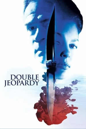 Double Jeopardy 1999 Hindi Dual Audio 350MB Movie Poster