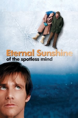 Eternal Sunshine Of The Spotless Mind 2004 Hindi Dual Audio [1.8GB] Movie Poster
