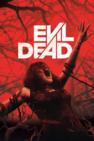 Evil Dead 2013 Hindi Dual Audio 300MB Movie Poster