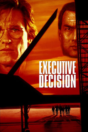 Executive Decision (1996) Hindi Dual Audio 400MB Movie Poster