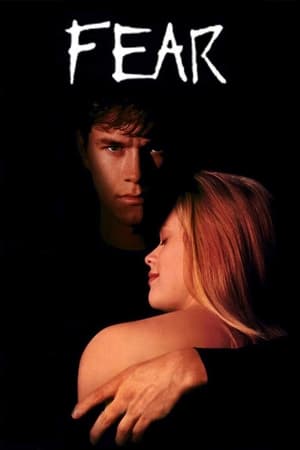 Fear (1996) Hindi Dual Audio [850MB] Movie Poster