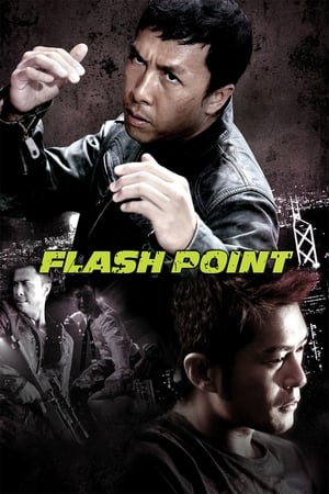 Flash Point (2007) Hindi Dual Audio [1GB] Movie Poster
