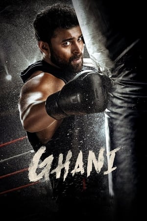 Ghani 2022 Hindi (HQ DUB) – Movie Poster