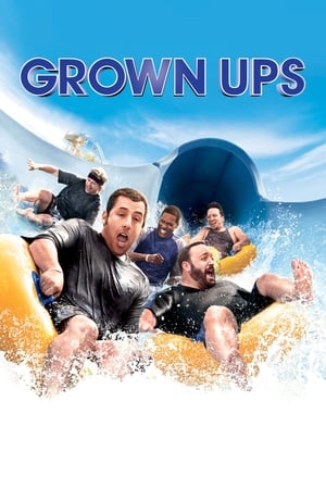 Grown Ups (2010) Hindi Dual Audio 300MB Movie Poster