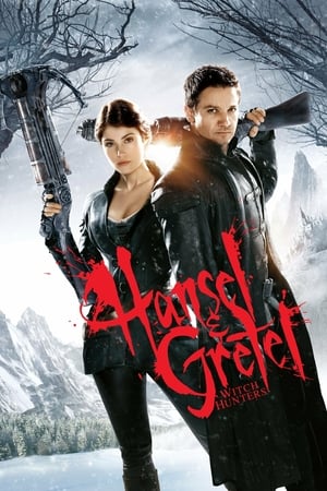 Hansel & Gretel Witch Hunters 2013 300MB Hindi Dual Audio Download Movie Poster