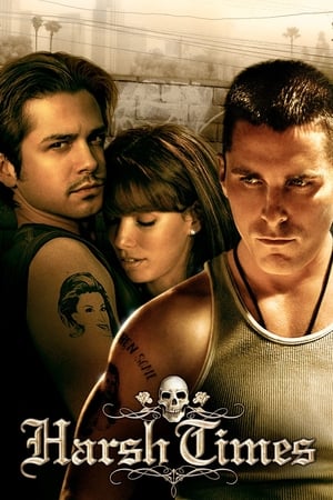 Harsh Times 2005 Hindi Dual Audio – Movie Poster