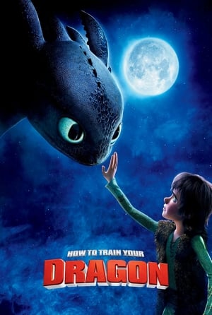 How to Train Your Dragon (2010) Hindi Dual Audio [750MB] Movie Poster