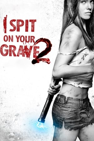 I Spit on Your Grave 2 (2013) Hindi Dual Audio – Movie Poster