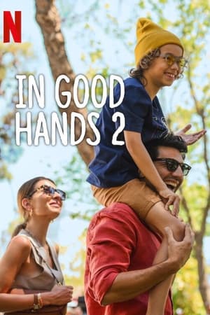 In Good Hands 2 (2024) Hindi Dual Audio – – Movie Poster