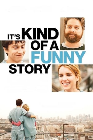 It's Kind of a Funny Story (2010) Hindi Dual Audio 330MB ESubs Movie Poster