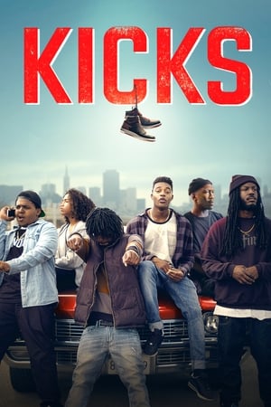 Kicks (2016) Hindi Dual Audio 300MB Movie Poster