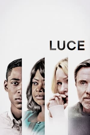 Luce 2019 Hindi Dual Audio [1GB] Movie Poster