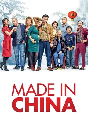 Made in China (2019) Hindi Movie [930MB] Movie Poster