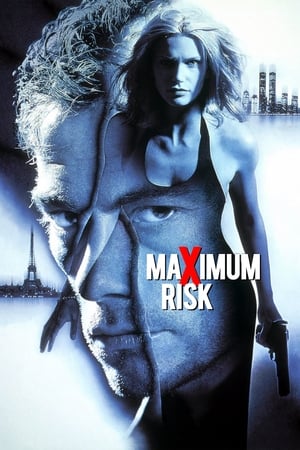 Maximum Risk (1996) Hindi Dual Audio 330MB Movie Poster
