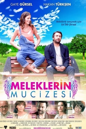 Meleklerin mucizesi (2014) Hindi Dual Audio [600MB] Movie Poster