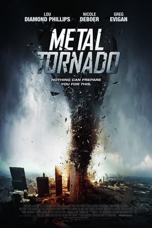 Metal Tornado 2011 Hindi Dual Audio 300MB Movie Poster