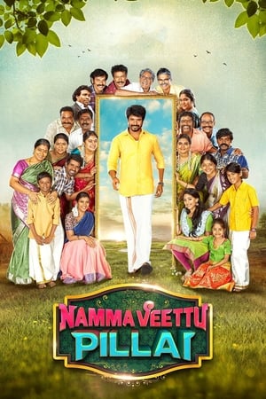 Namma Veettu Pillai (2019) (Hindi -Tamil) Dual Audio [1.4GB] Movie Poster