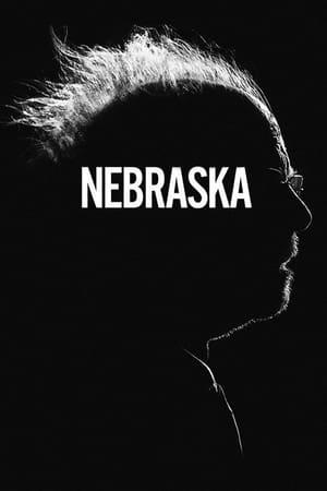 Nebraska 2013 Dual Audio Hindi Movie - 1GB Movie Poster