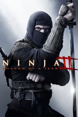 Ninja Shadow of a Tear 2013 Hindi Dual Audio 300MB Movie Poster